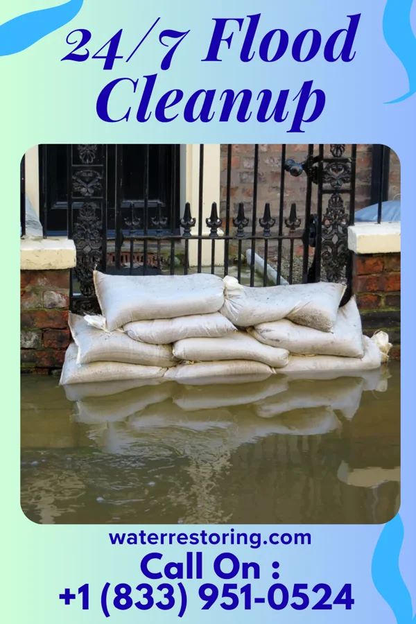 24/7 Flood Cleanup in Elkton, MN