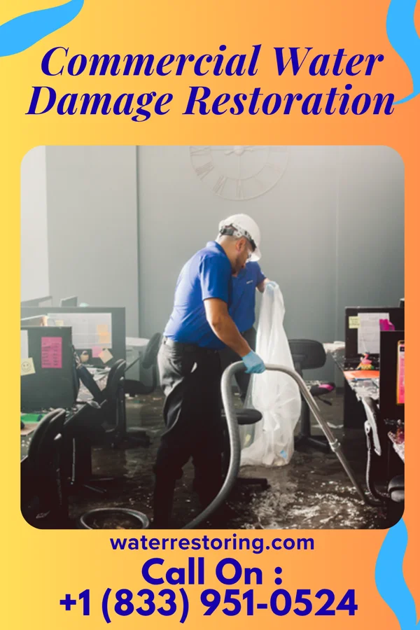 Commercial Water Damage Restoration in Elkton, MN
