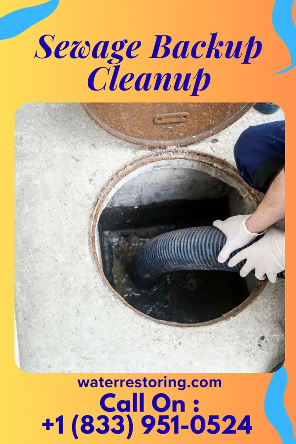 Sewage Backup Cleanup in Elkton, MN