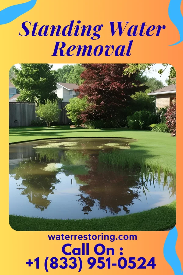 Standing Water Removal in Elkton, MN